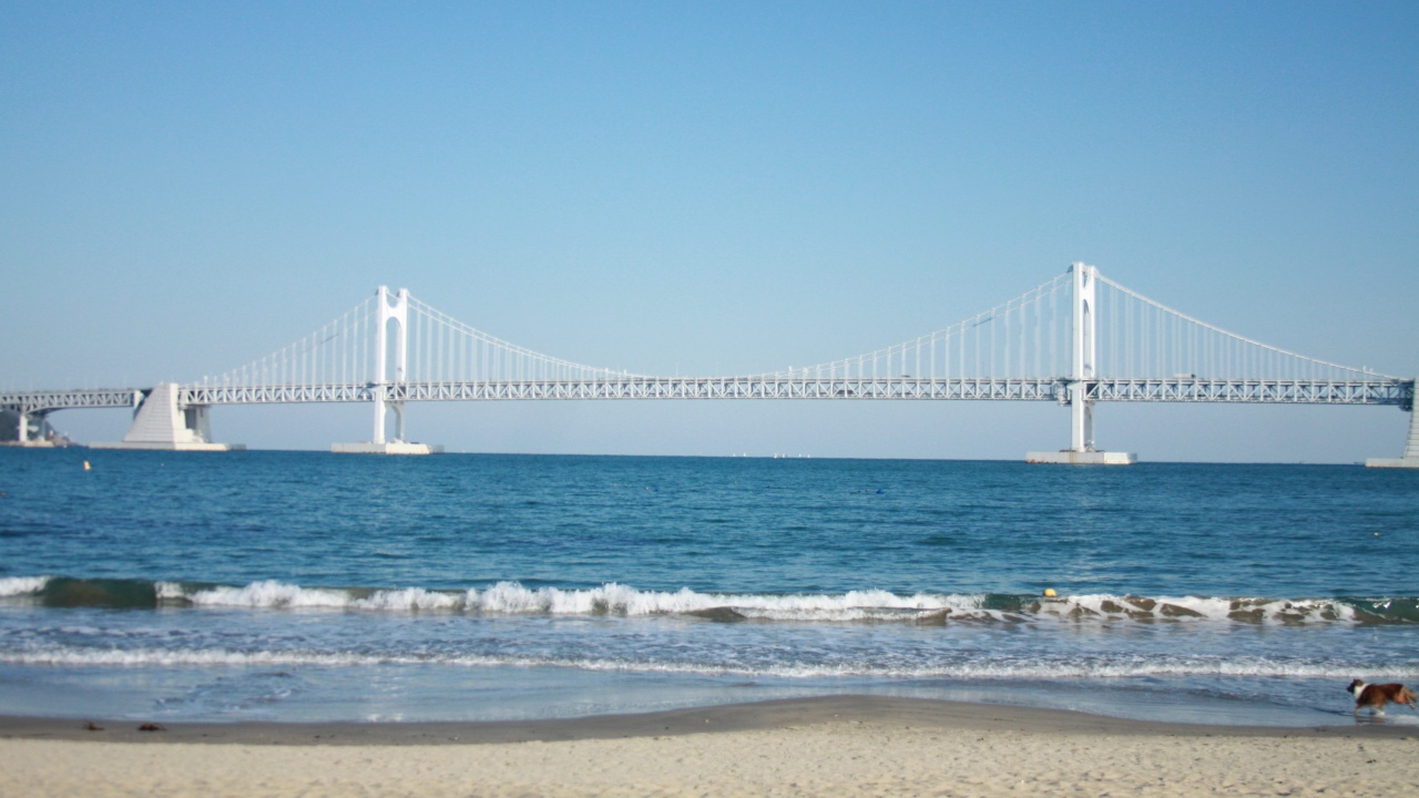 디카시 투어 - 부산 로컬 투어 후 나만의 여행 엽서북 만들기