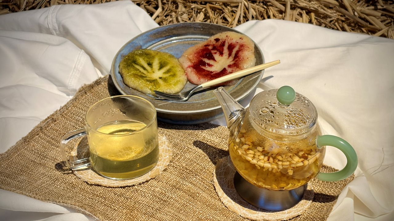 안동 대마민국 금소마을 1박 2일 촌캉스 로컬여행, 금양연화